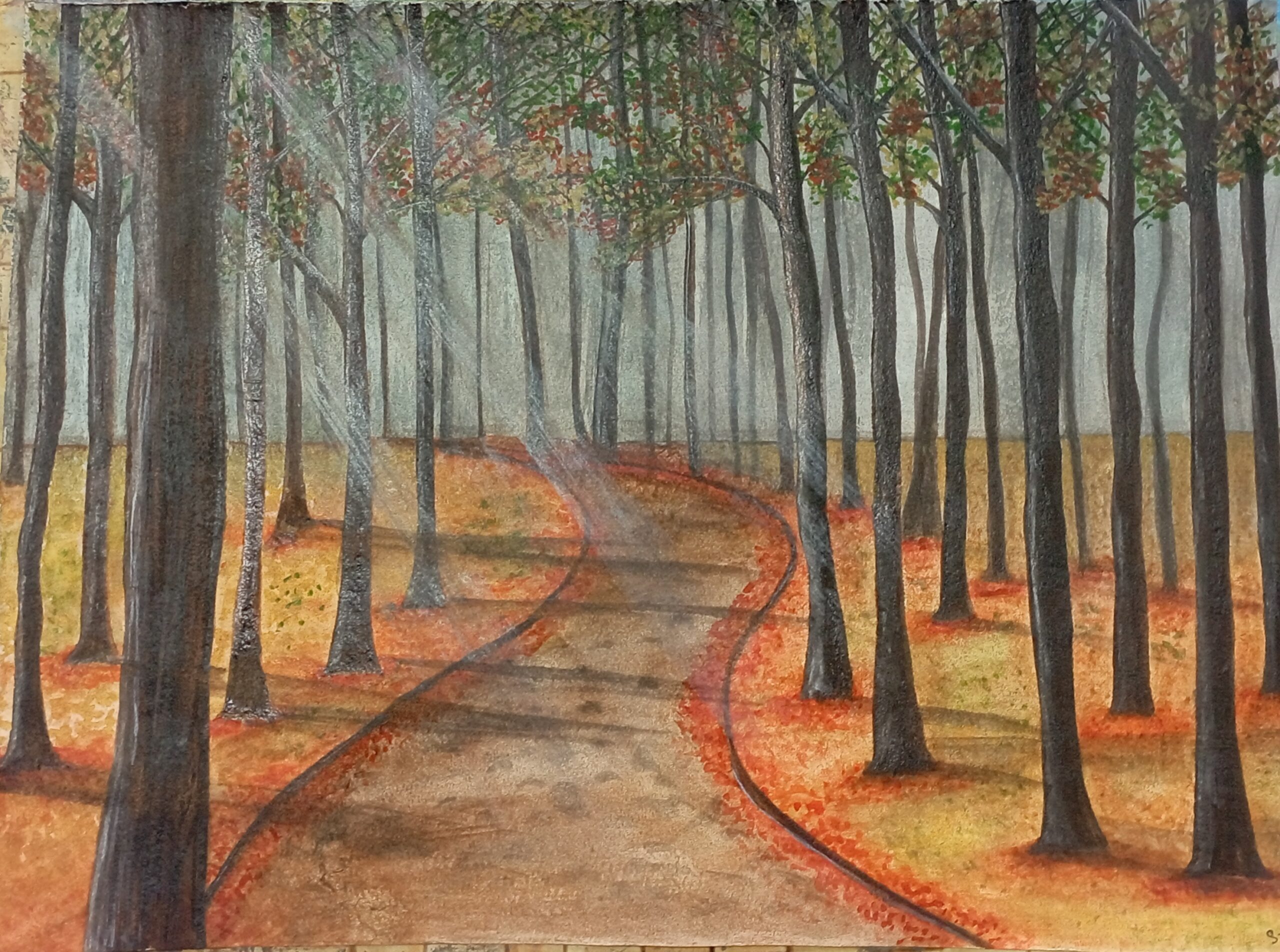 Morning Trail